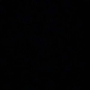 Meet your Posher, Harry